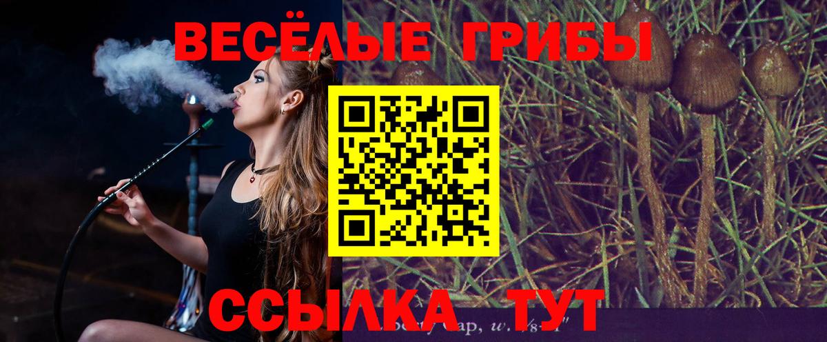 Псилоцибиновые грибы прущие грибы Чернушка